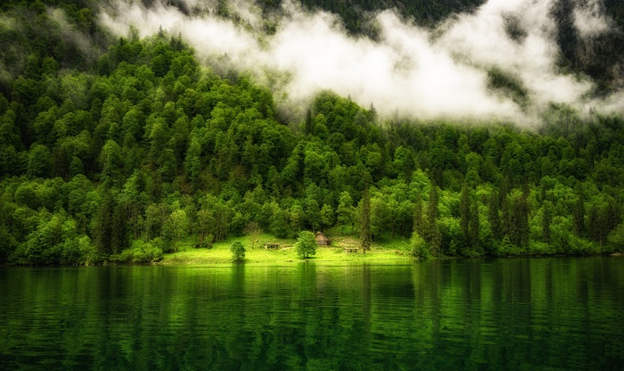 Misty forest on a mountainside reflected in a lake