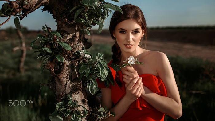 Damian Piórko, auburn hair, women, dress, bare shoulders, depth of field, long hair, face, women outdoors, braids, looking at viewer, model