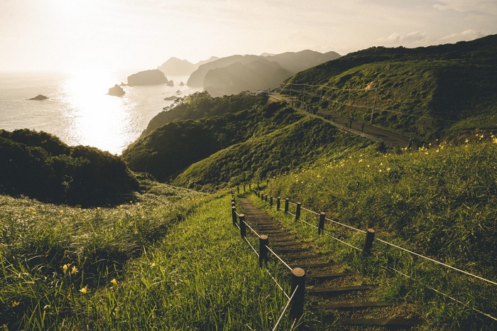 Stairway to the sea with mountains and yellow flowers