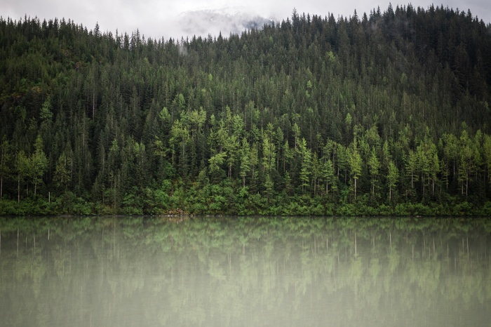 Forest reflected in a lake under cloudy skies