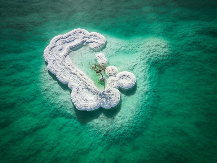 Aerial view of a salt island with a lone tree in the Dead Sea
