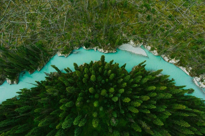 Aerial view of a turquoise river flowing through a forest