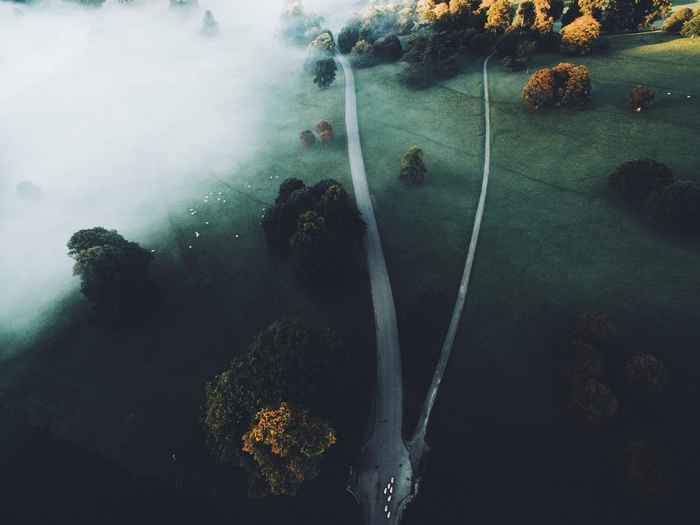 Aerial view of a misty road through trees