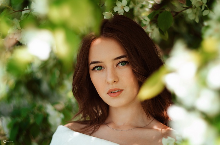 Green Eyes Depth Of Field Portrait Face Women Hd Wallpaper Rare