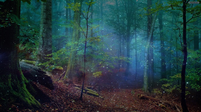 Magical forest with glowing particles