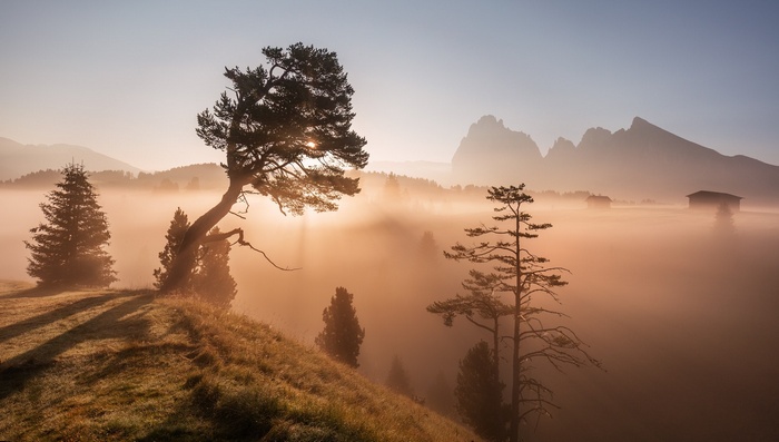 Misty mountain landscape with trees and cabins