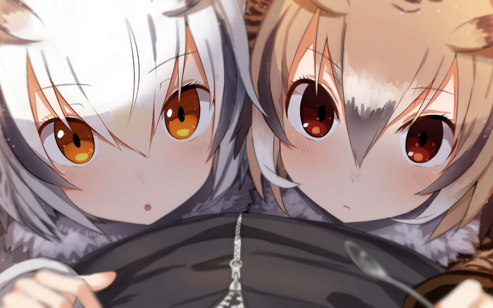 depth of field, Eurasian Eagle Owl (Kemono Friends), orange eyes, point of view, Northern White-Faced Owl (Kemono Friends), multi-colored hair, animal ears, Kemono Friends, spoon