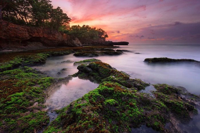 Mossy rocks on a beach at sunset with long exposure