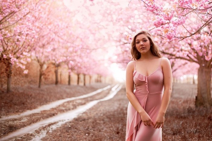Woman in pink dress among cherry blossoms