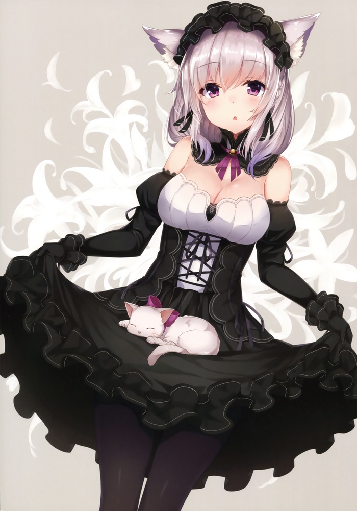 Girl with cat ears lifting her dress with a cat