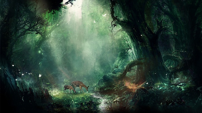 Fantasy forest with deer and butterflies