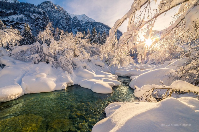 Snow-covered forest stream with sunlight filtering through trees