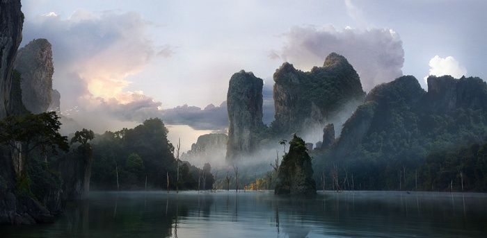 Misty mountains and lake with dead trees