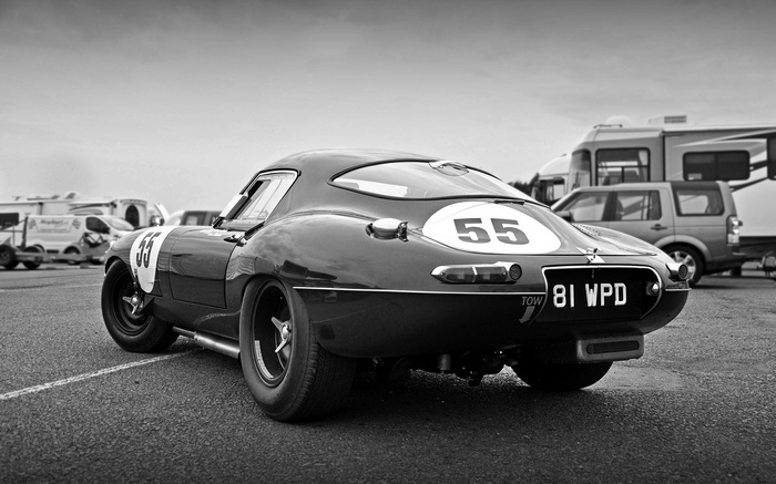 Monochrome Jaguar E-Type race car with number 55