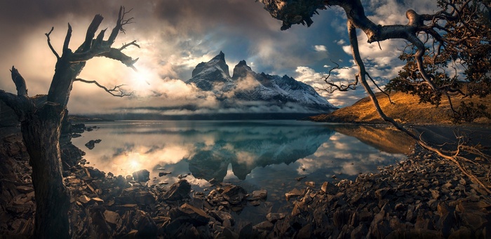 Torres del Paine mountains reflected in a lake with foreground trees