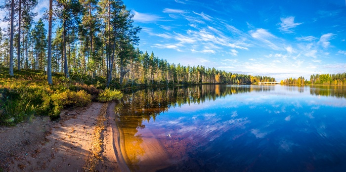 Forest landscape with a calm lake and blue sky