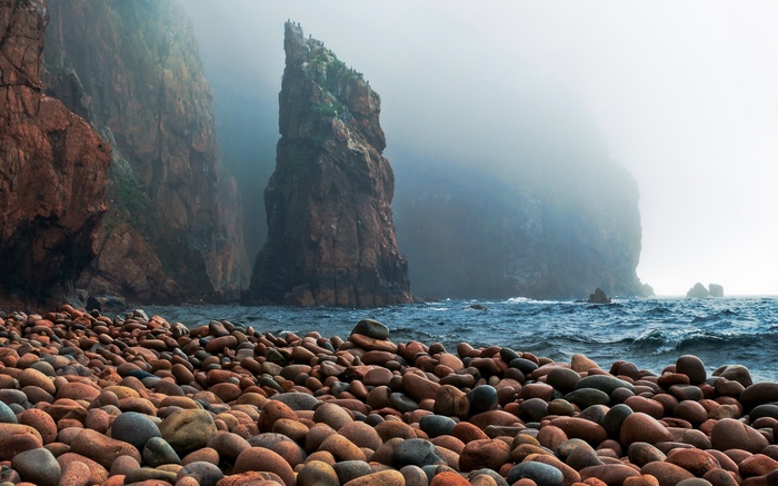 Rocky coast with sea stacks in fog