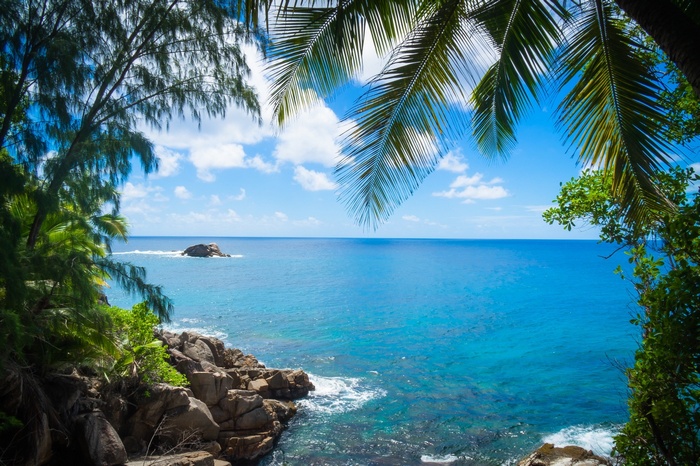 Tropical island coastline with palm trees and clear blue sea