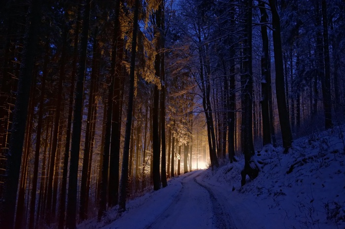 Snowy forest road illuminated by lights at night
