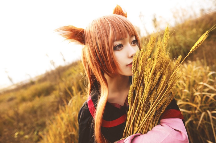 cosplay, redhead, Holo (Wolf and Spice), asian cosplayer, wheat, women, Asian