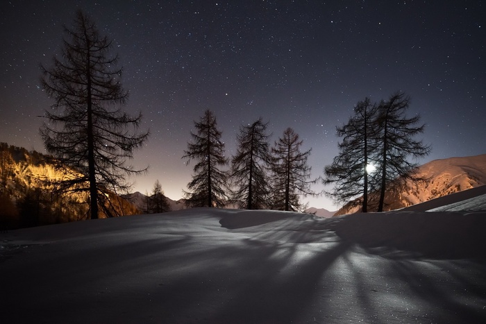 Winter night landscape with snow-covered ground and trees under a starry sky
