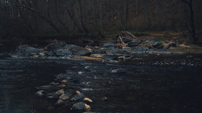 Dark stream flowing over rocks with bare trees in background