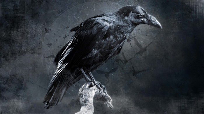A dark crow perched on a branch with birds flying in the background