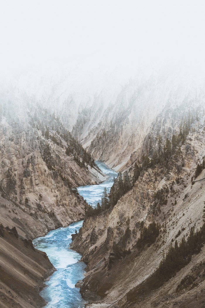 River flowing through a misty canyon with trees