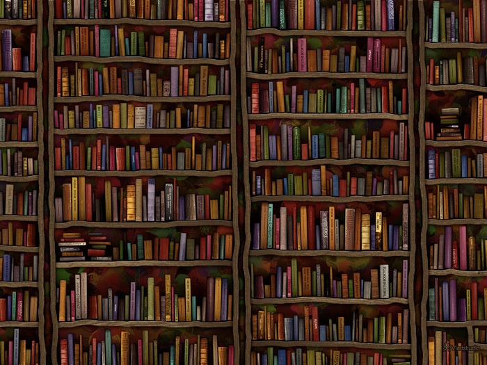 Bookshelves filled with books
