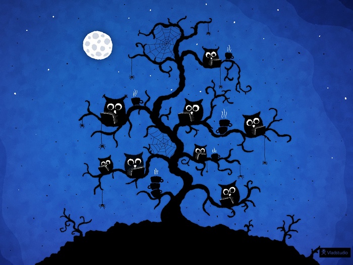 Owls reading books on a tree at night