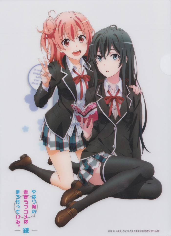 Yukinoshita Yukino and Yuigahama Yui from Yahari Ore no Seishun Love Comedy wa Machigatteiru