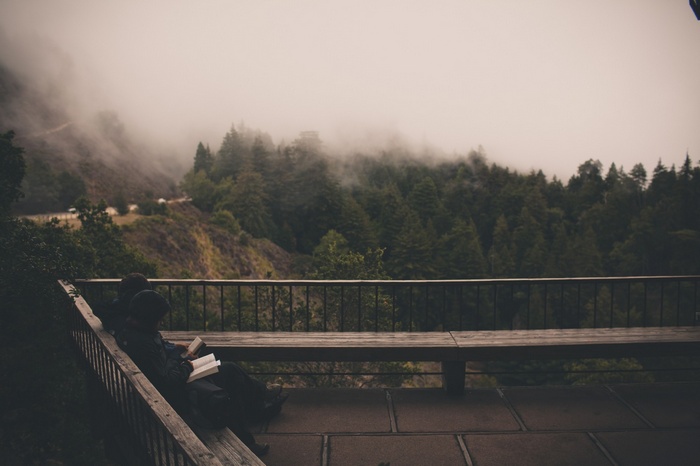 Two people reading on a bench overlooking a misty forest