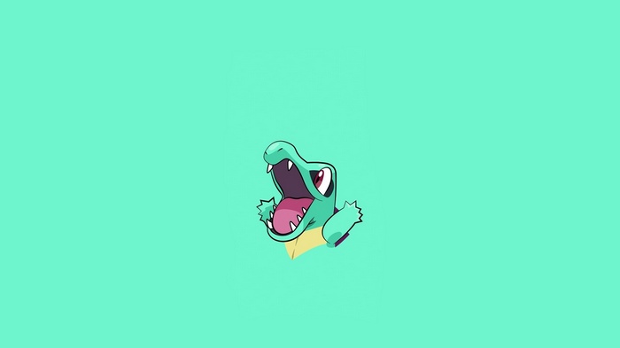 Totodile from Pokémon