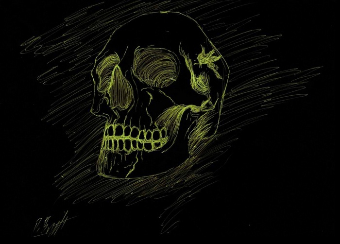 Sketch of a human skull with yellow lines on black background