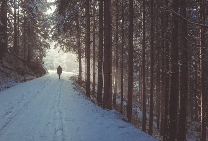 Person walking on a snowy path in a forest