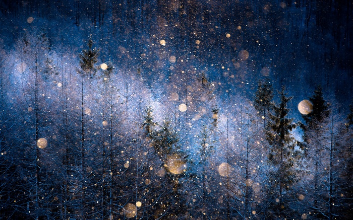 Nagano Prefecture, Japan, snow