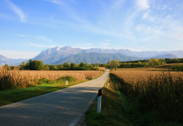Road through cornfields towards mountains under a blue sky