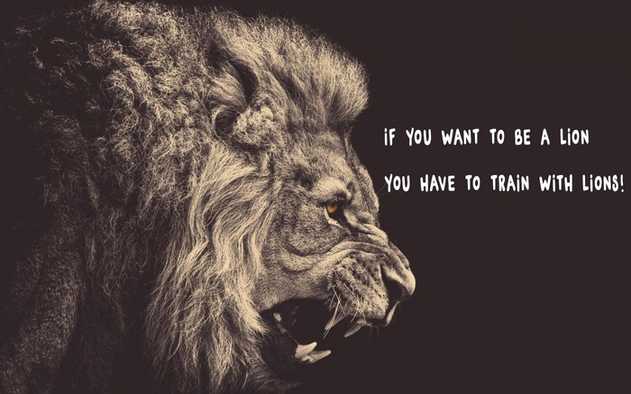 Lion roaring with motivational quote