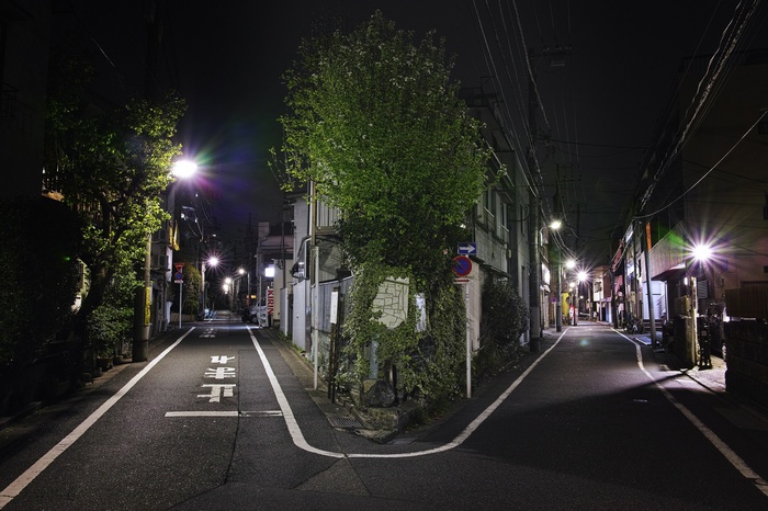 Night street in Japan with street lights and trees