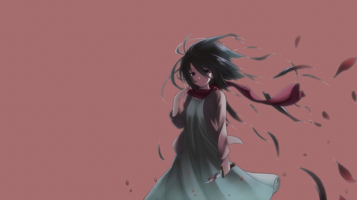 Mikasa Ackerman from Shingeki no Kyojin