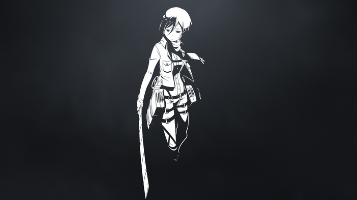 Mikasa Ackerman from Attack on Titan