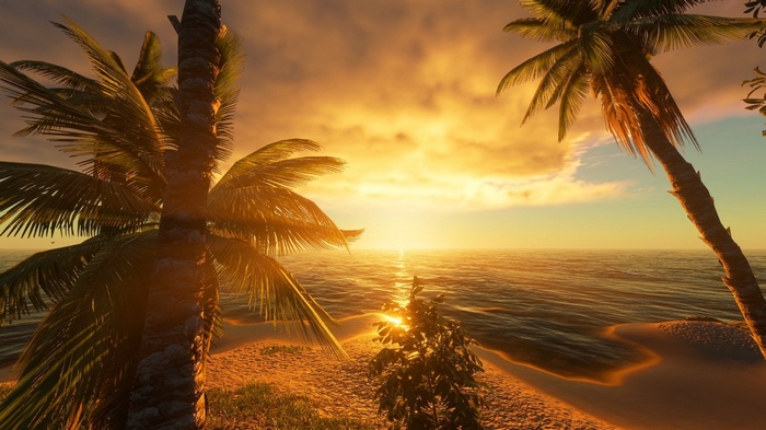 Sunset over the ocean with palm trees on the beach