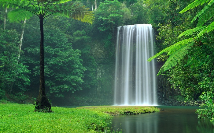 nature, waterfall