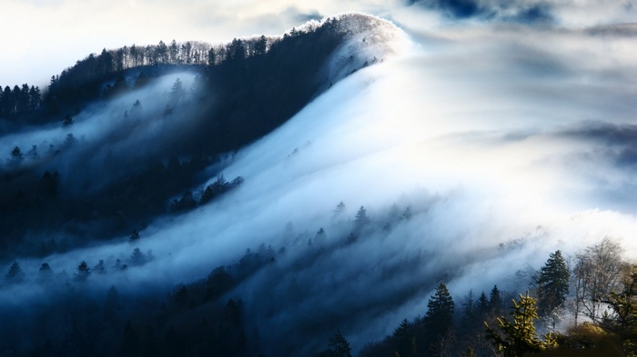 Misty mountains with evergreen trees