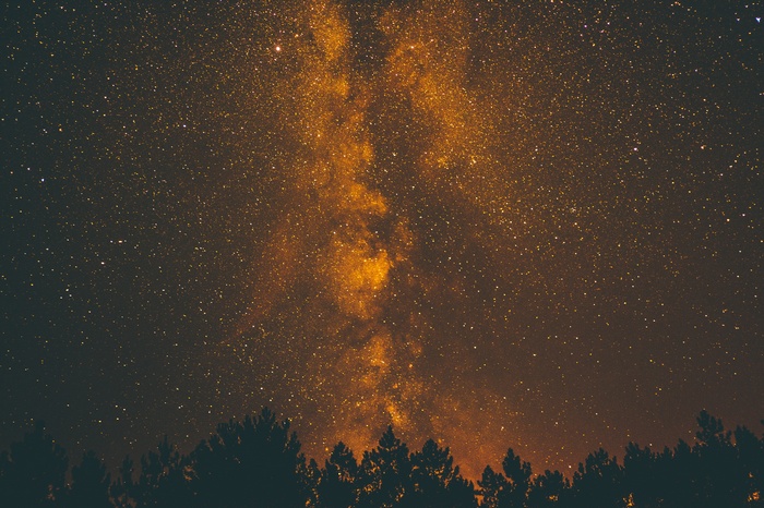 Milky Way galaxy over a dark forest silhouette