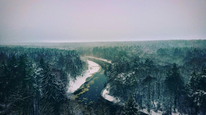 Winter forest with a winding river