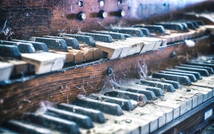 Close-up of an old, broken organ keyboard with cobwebs