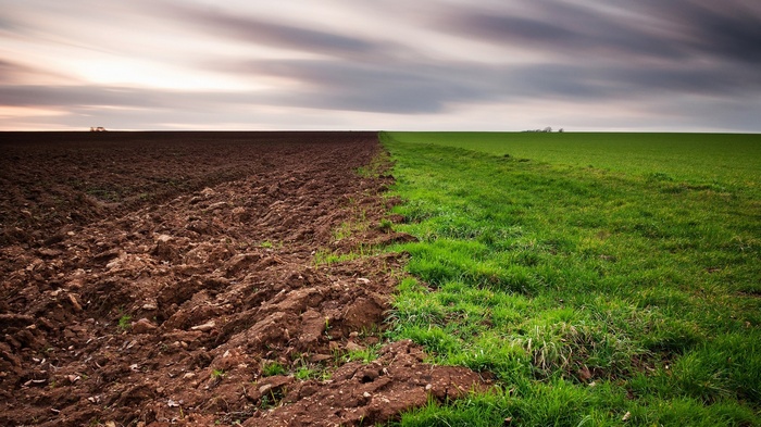 Ploughed field next to a green field under cloudy sky