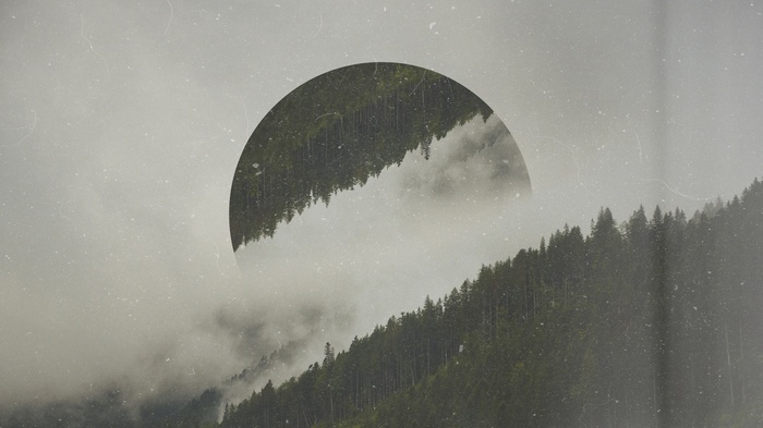 Circle over misty forest