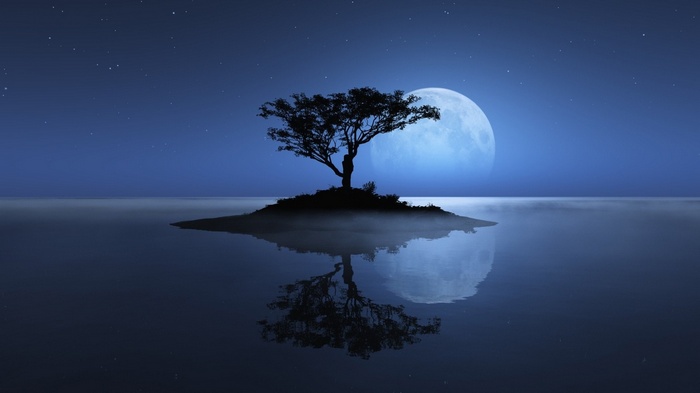 Tree on island in front of moon over water